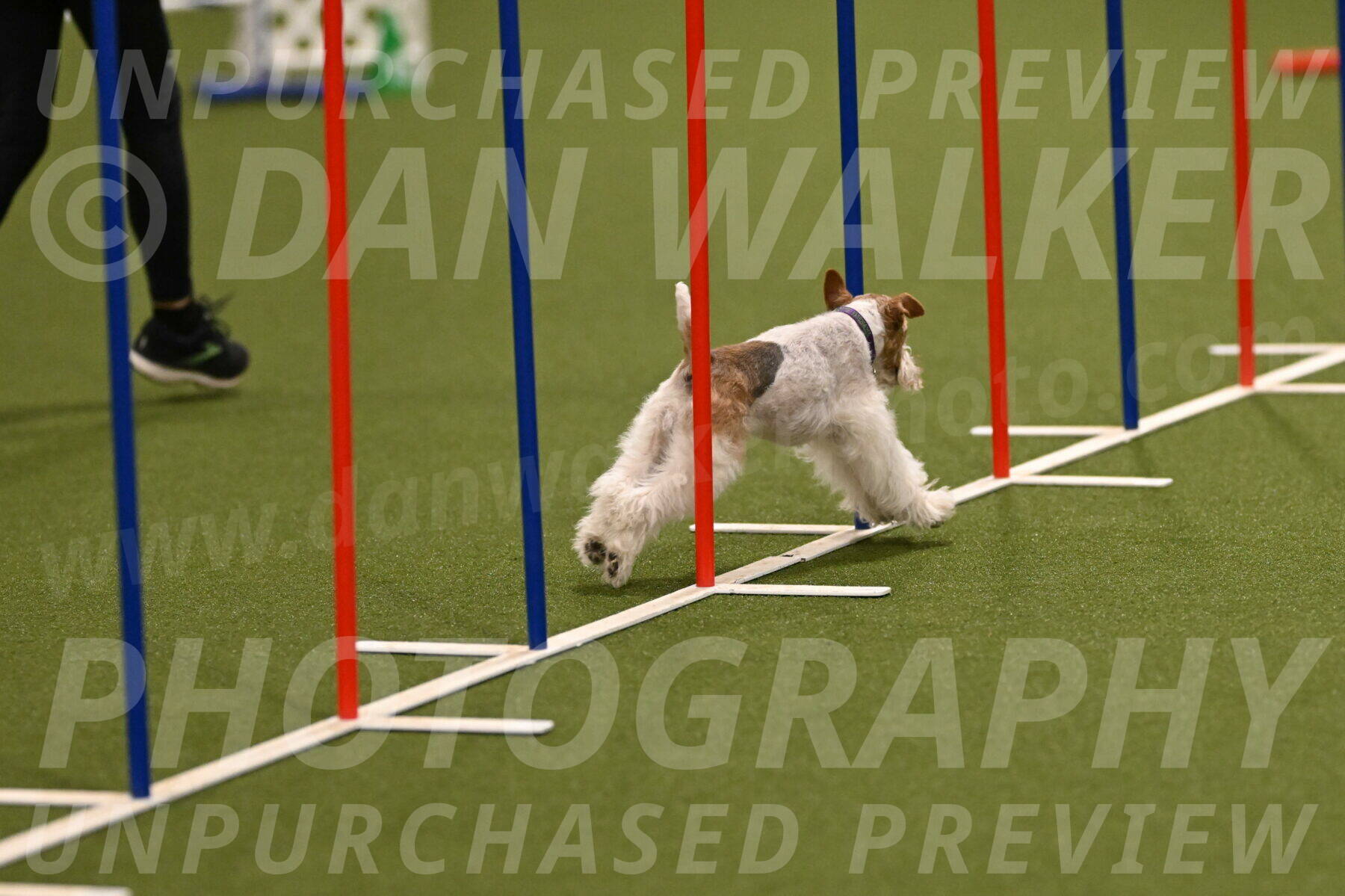 Charlotte-Kathryn-Vretas-12853