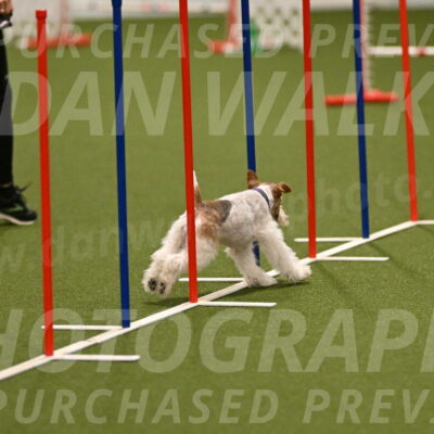 Charlotte-Kathryn-Vretas-12854