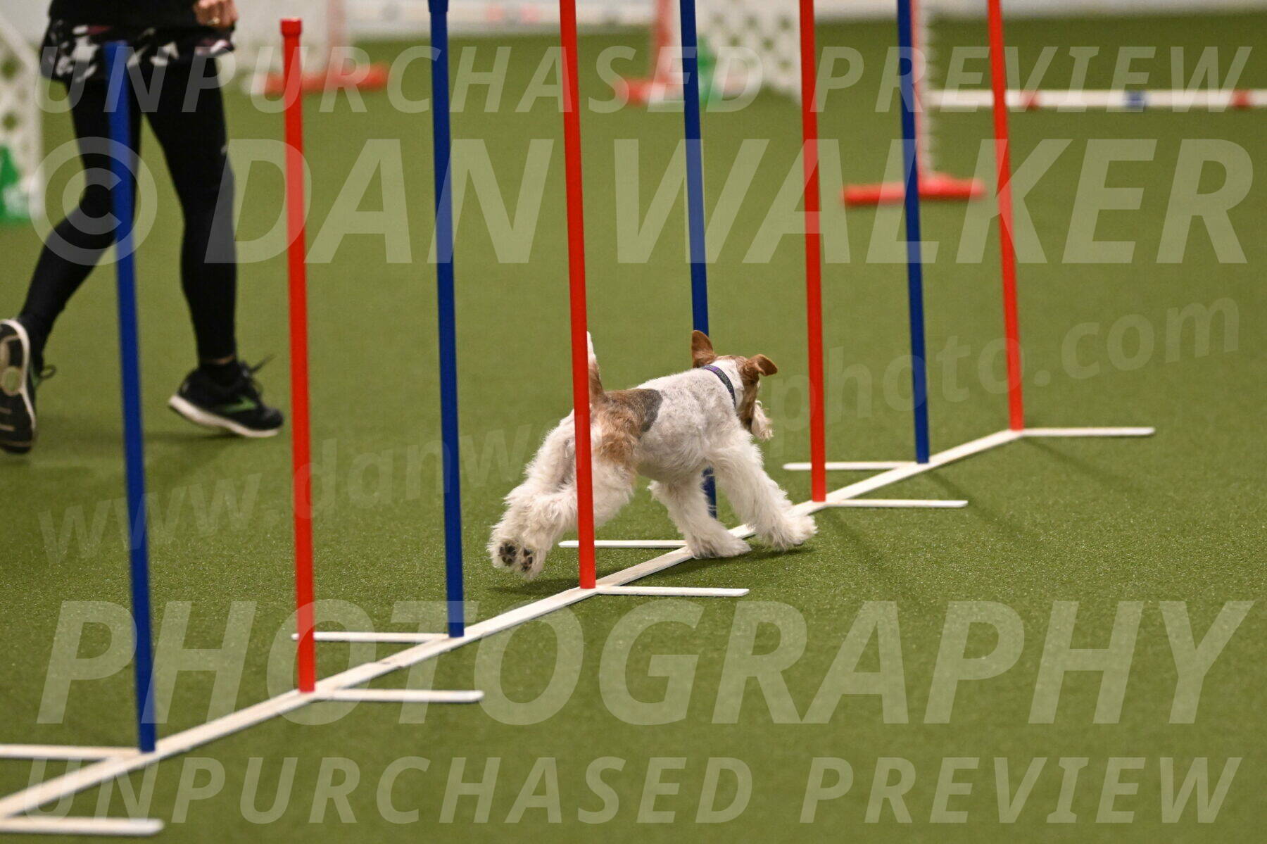 Charlotte-Kathryn-Vretas-12854