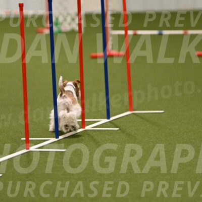 Charlotte-Kathryn-Vretas-12855