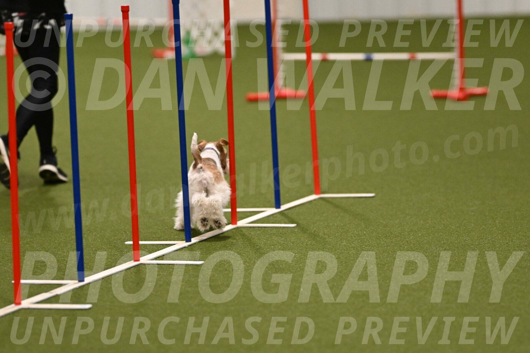 Charlotte-Kathryn-Vretas-12855