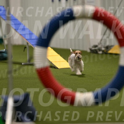 Charlotte-Kathryn-Vretas-12856