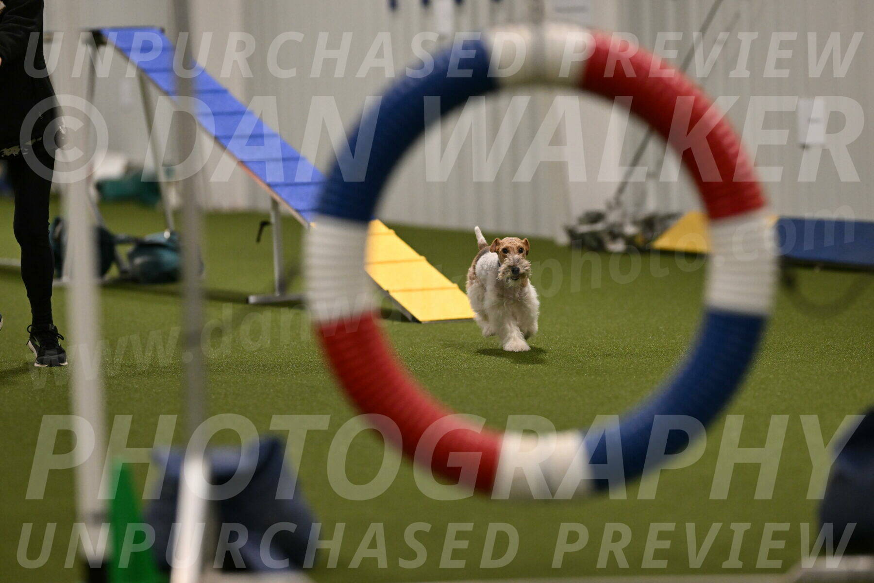 Charlotte-Kathryn-Vretas-12856