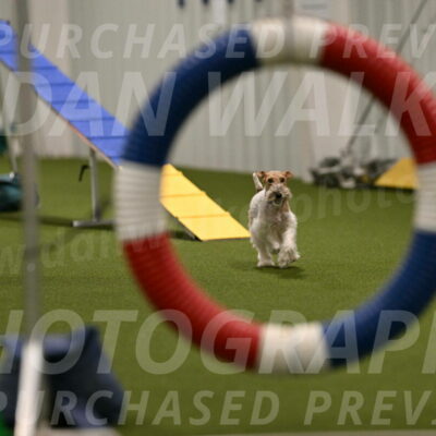 Charlotte-Kathryn-Vretas-12857