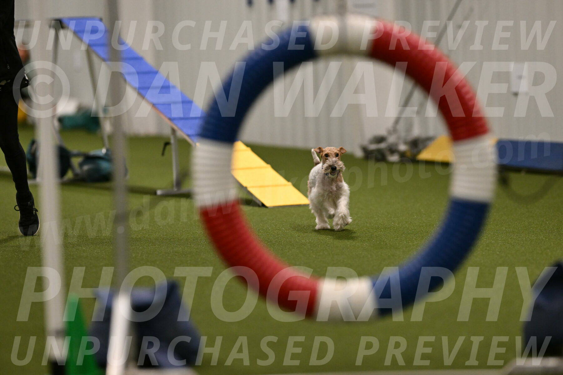 Charlotte-Kathryn-Vretas-12857