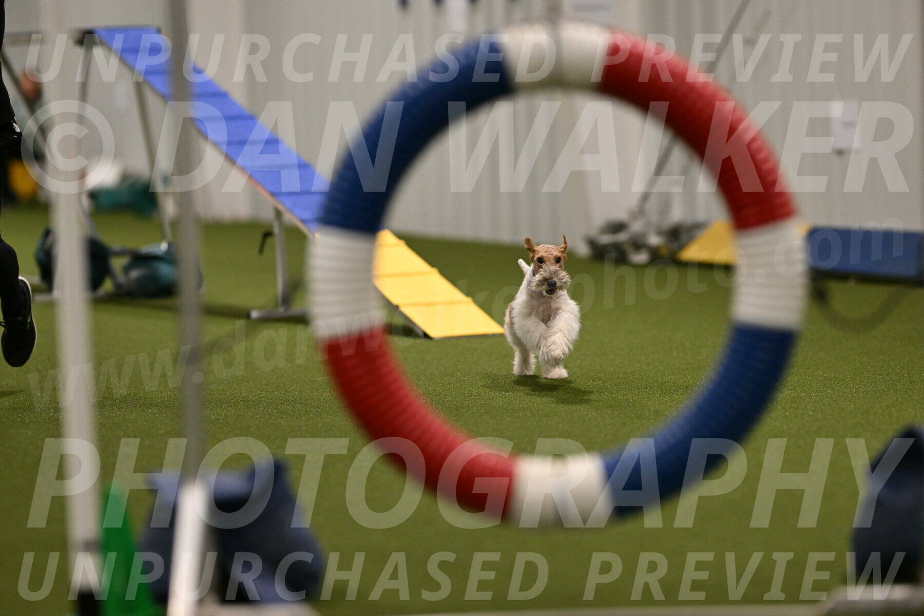 Charlotte-Kathryn-Vretas-12858