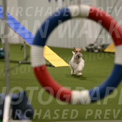 Charlotte-Kathryn-Vretas-12858