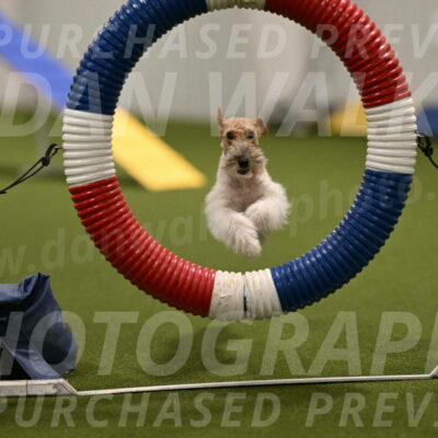 Charlotte-Kathryn-Vretas-12859