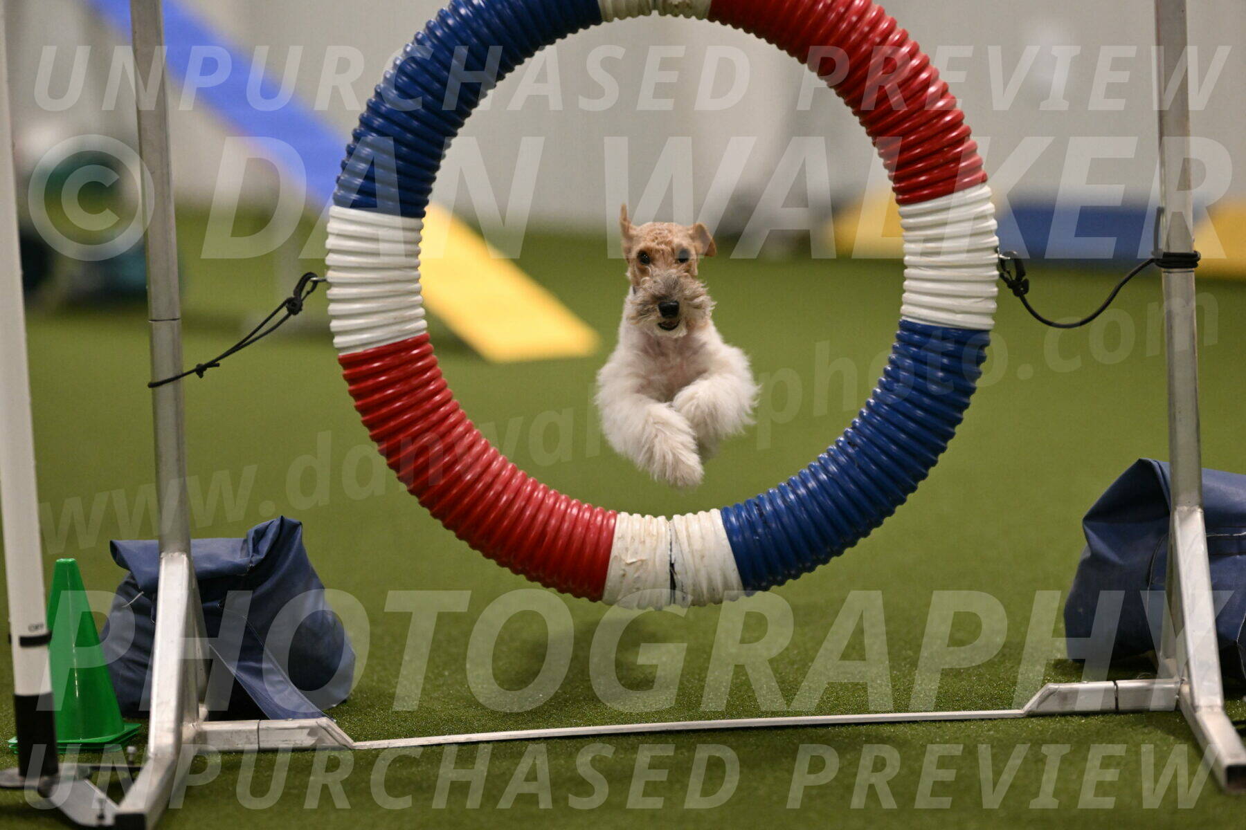 Charlotte-Kathryn-Vretas-12859