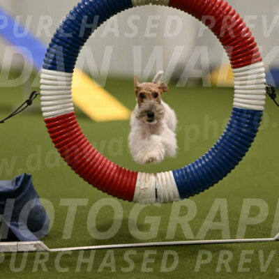 Charlotte-Kathryn-Vretas-12860