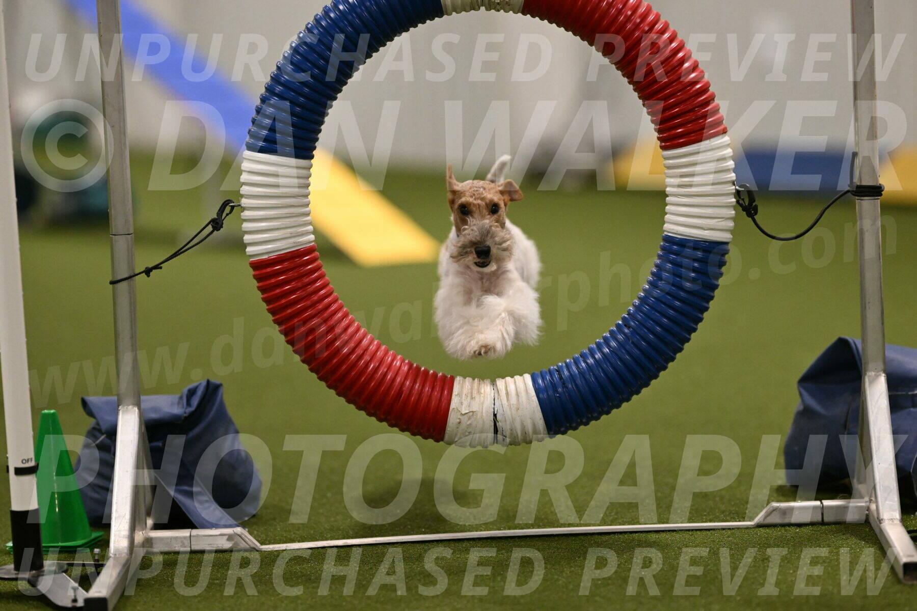 Charlotte-Kathryn-Vretas-12860