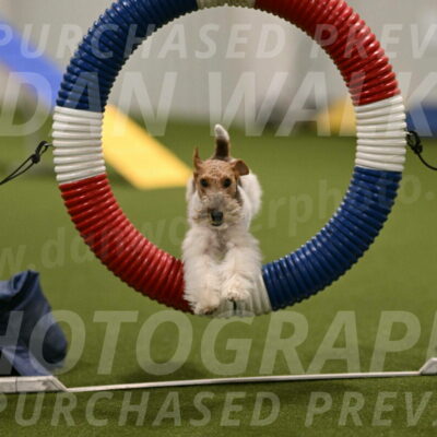 Charlotte-Kathryn-Vretas-12861