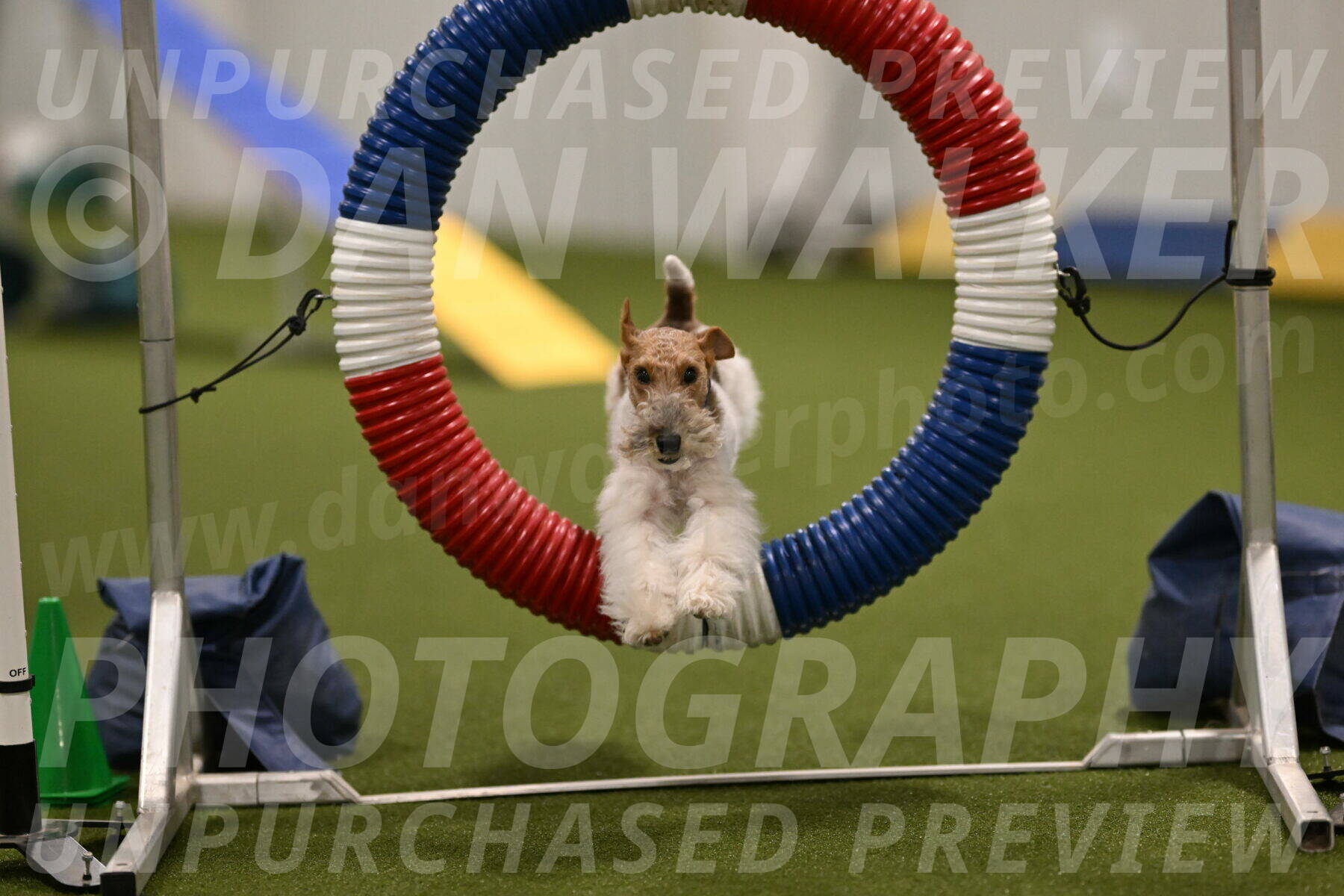 Charlotte-Kathryn-Vretas-12861