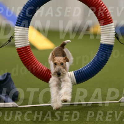 Charlotte-Kathryn-Vretas-12862