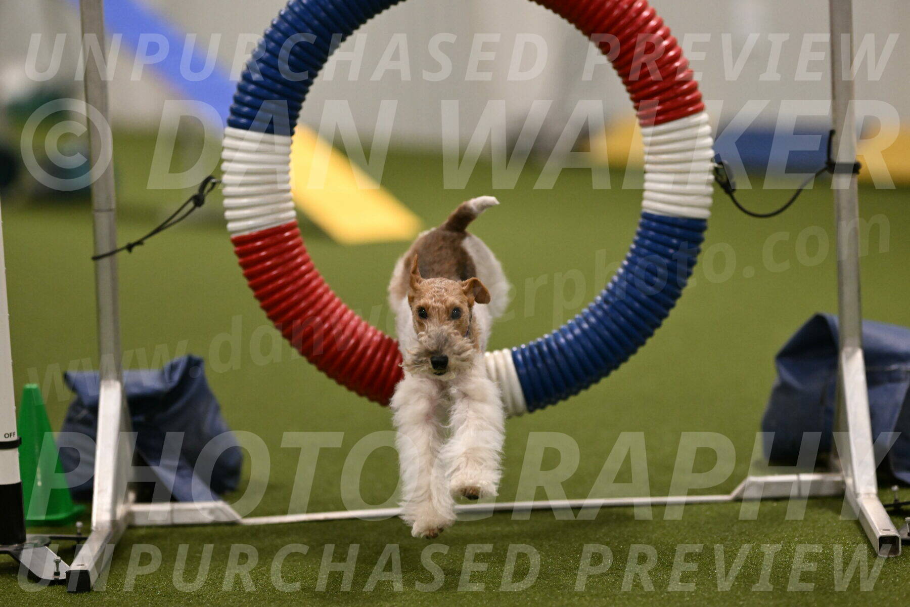 Charlotte-Kathryn-Vretas-12862