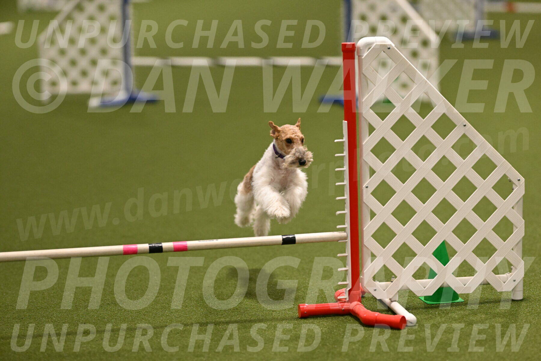 Charlotte-Kathryn-Vretas-12863