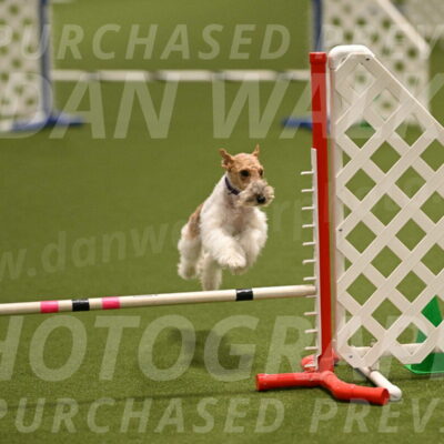 Charlotte-Kathryn-Vretas-12863