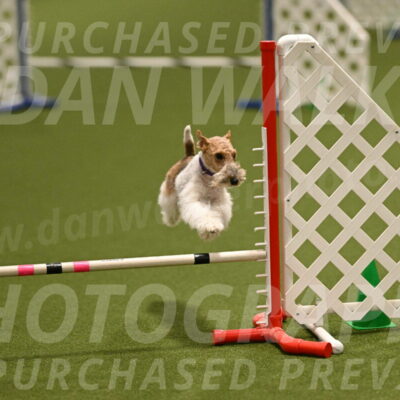 Charlotte-Kathryn-Vretas-12864