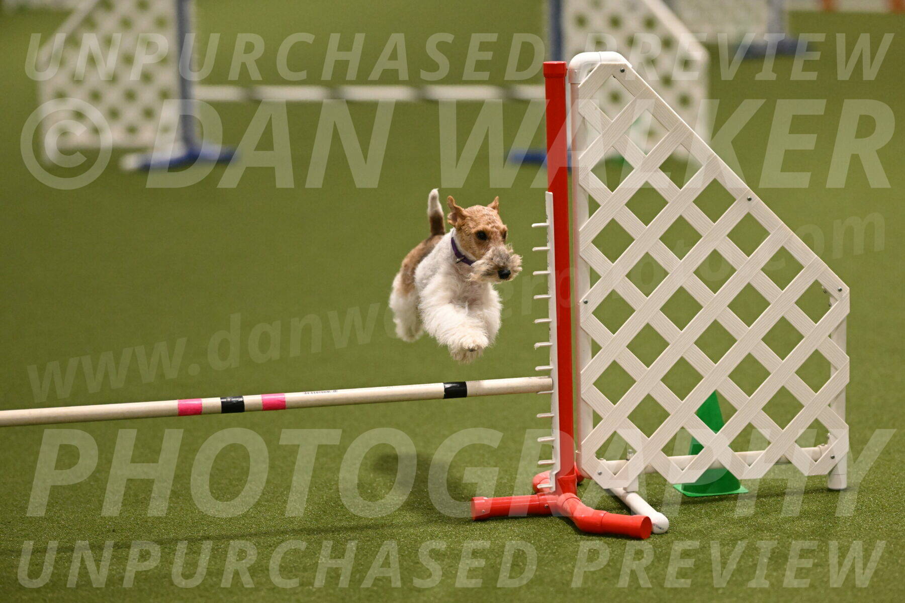 Charlotte-Kathryn-Vretas-12864