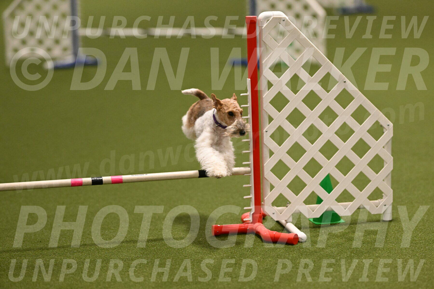 Charlotte-Kathryn-Vretas-12865