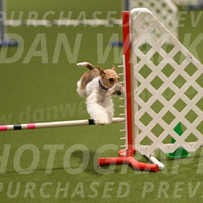 Charlotte-Kathryn-Vretas-12865