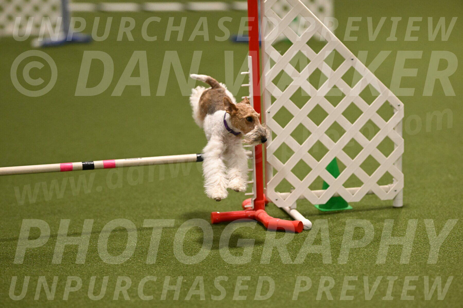 Charlotte-Kathryn-Vretas-12866