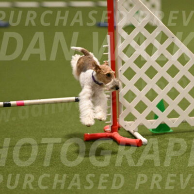 Charlotte-Kathryn-Vretas-12866