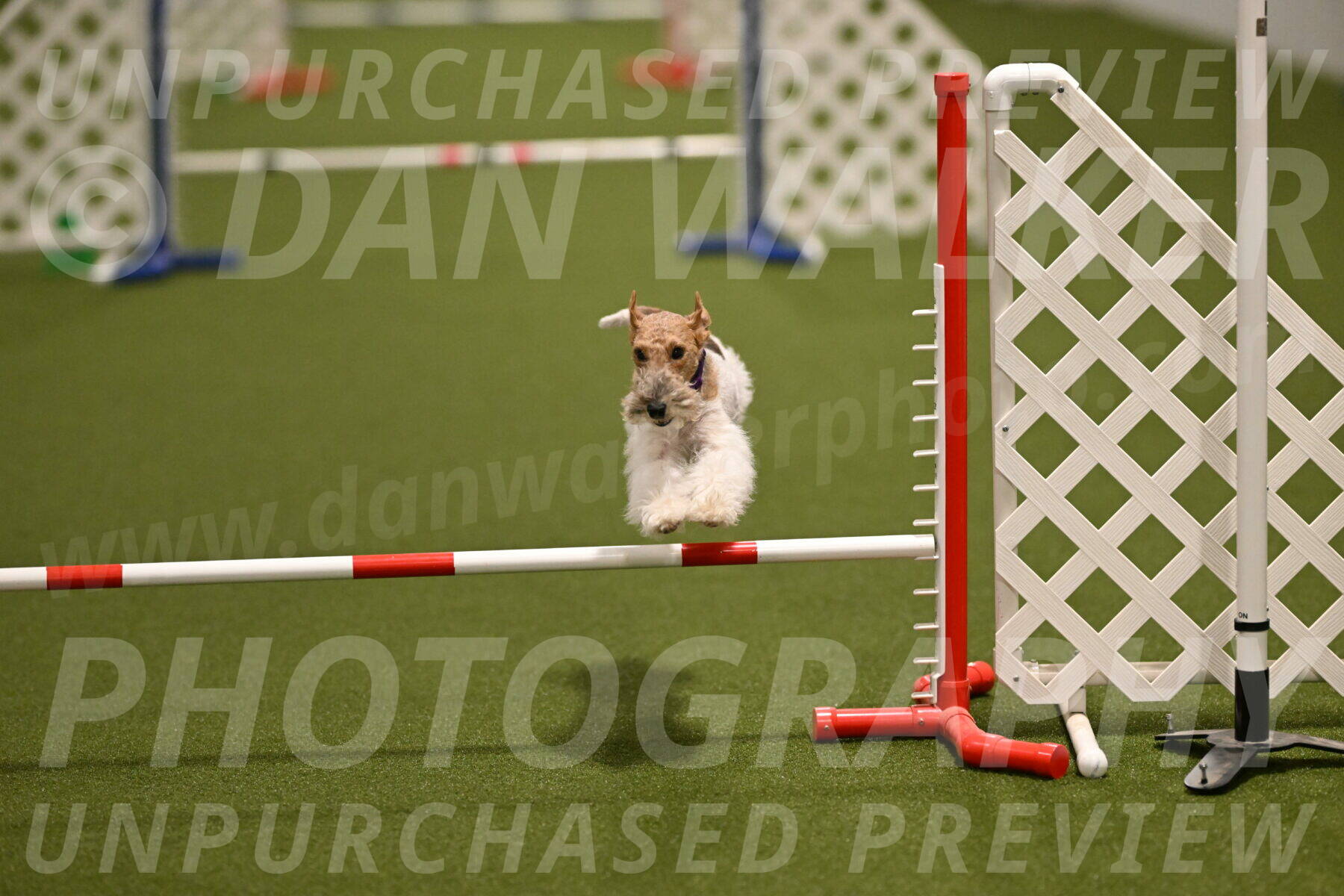 Charlotte-Kathryn-Vretas-12867