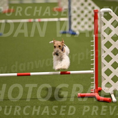 Charlotte-Kathryn-Vretas-12867