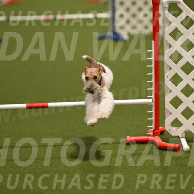 Charlotte-Kathryn-Vretas-12868