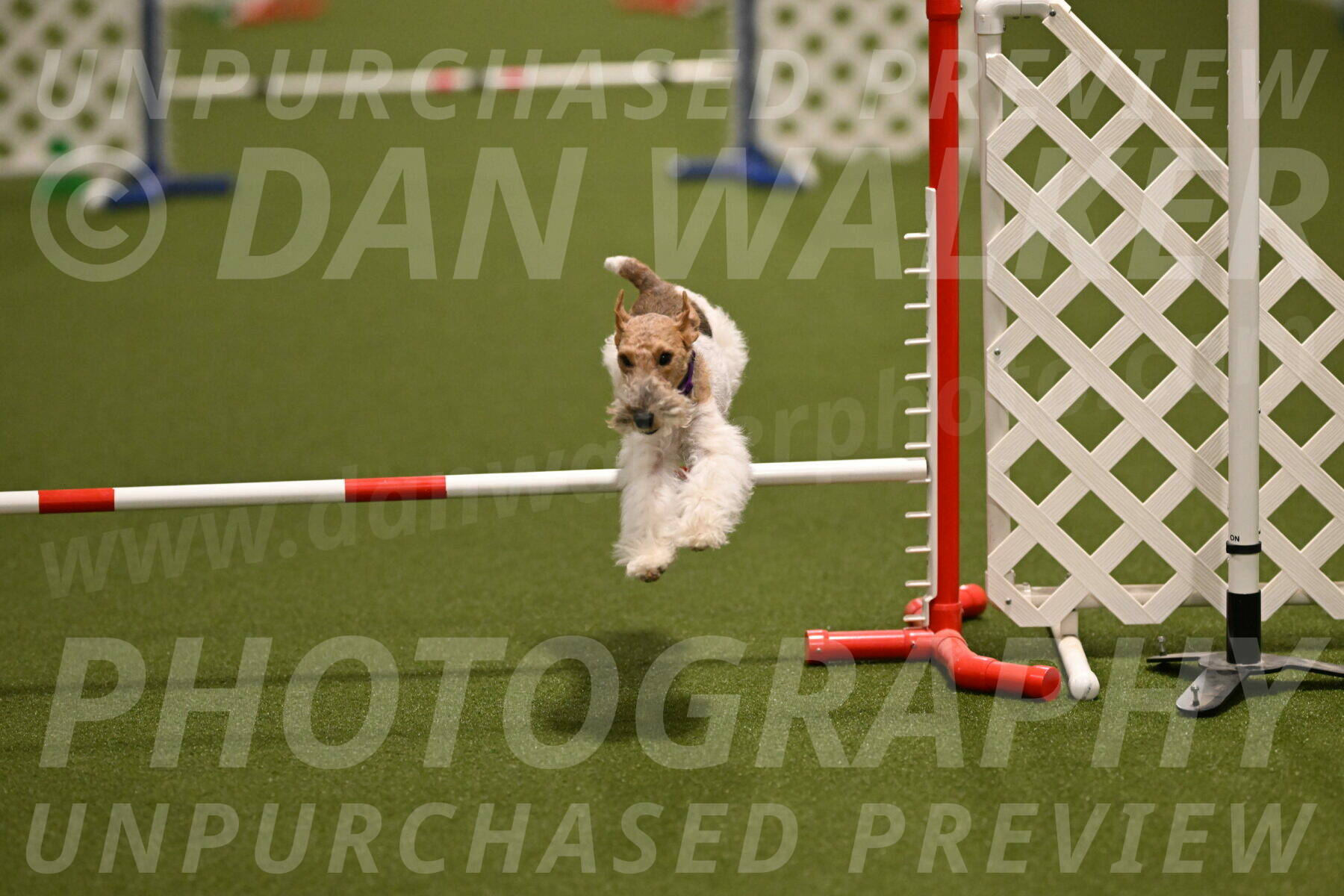 Charlotte-Kathryn-Vretas-12868