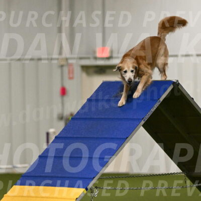Check-Julianna-Lobosky-09732