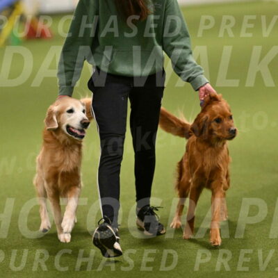 Check-Julianna-Lobosky-09741