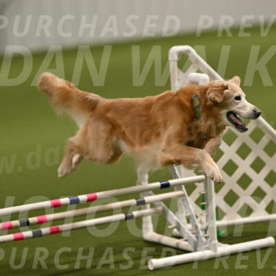 Check-Julianna-Lobosky-09751