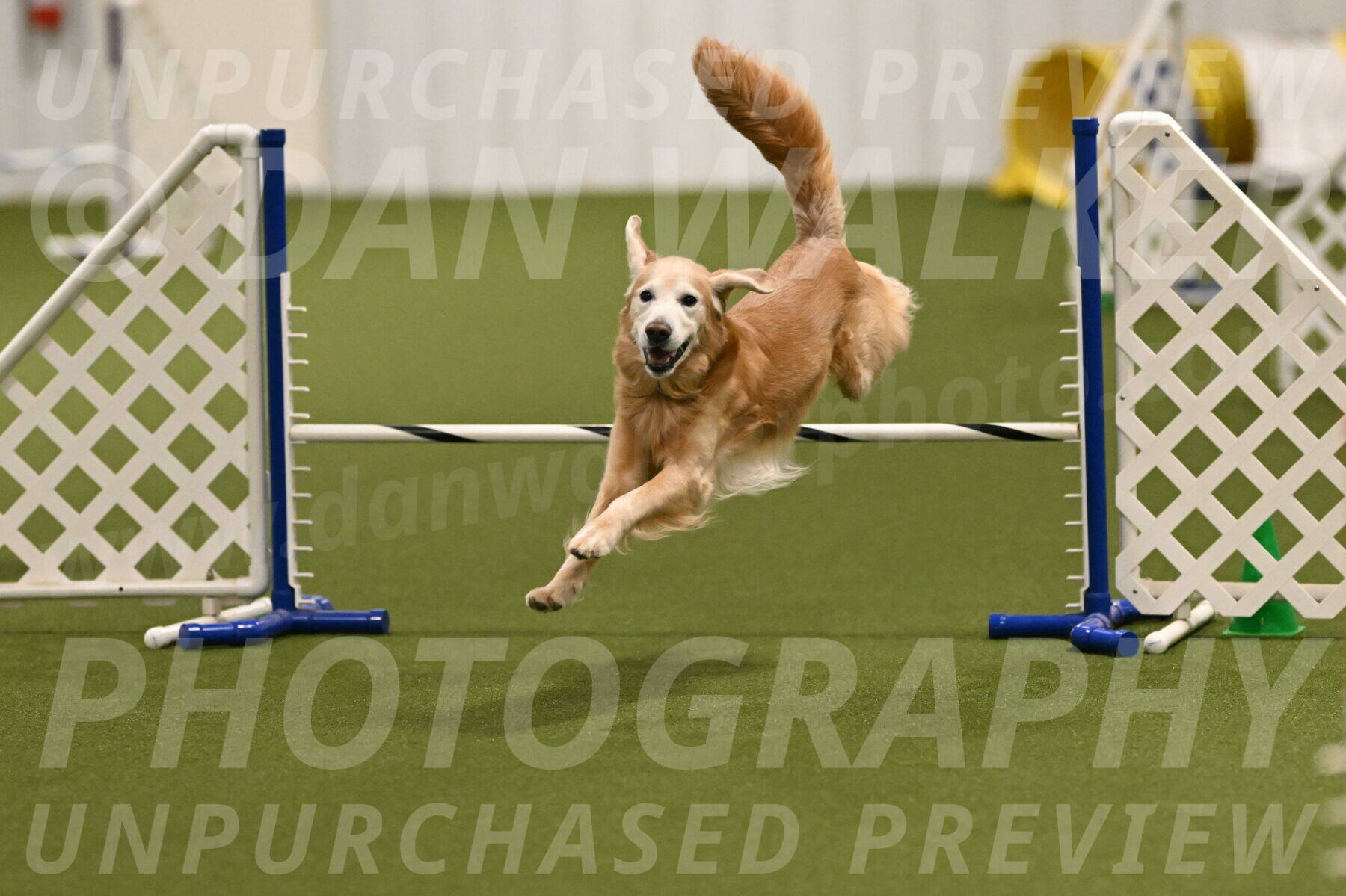 Check-Julianna-Lobosky-09770