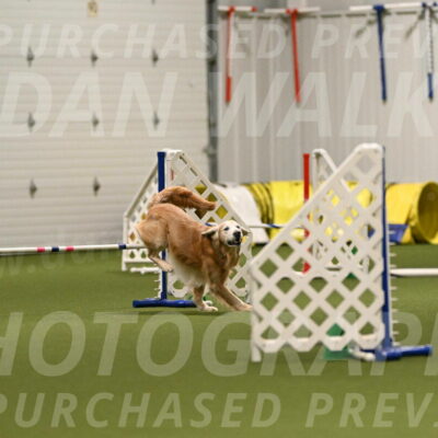 Check-Julianna-Lobosky-09783