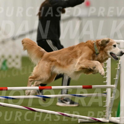 Check-Julianna-Lobosky-09792