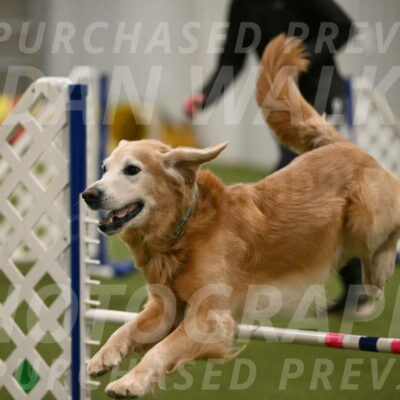 Check-Julianna-Lobosky-09810