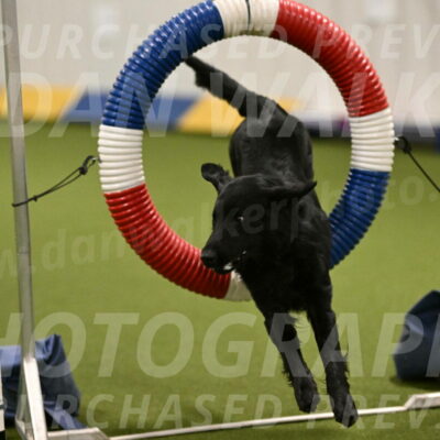 Chill-Anne-Lowe-05274