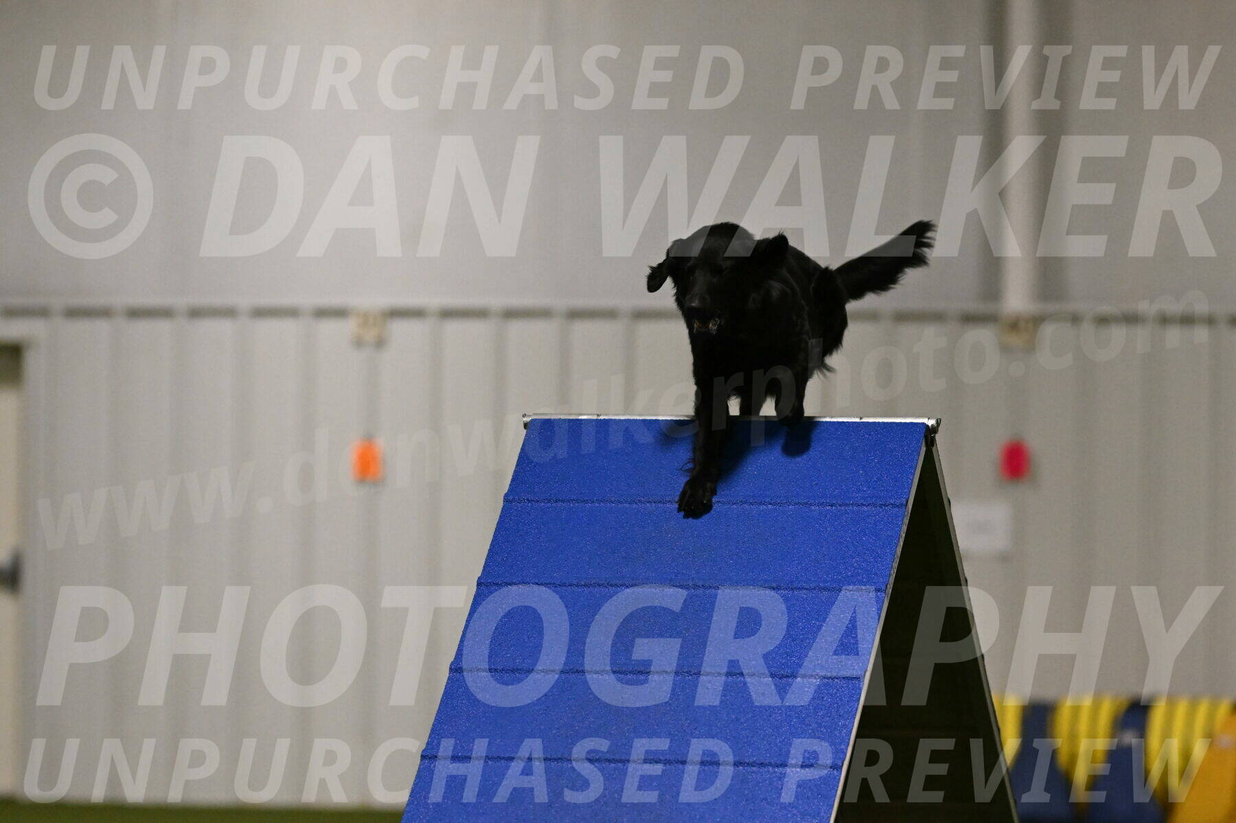 Chill-Anne-Lowe-05275