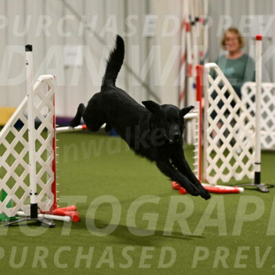 Chill-Anne-Lowe-05313