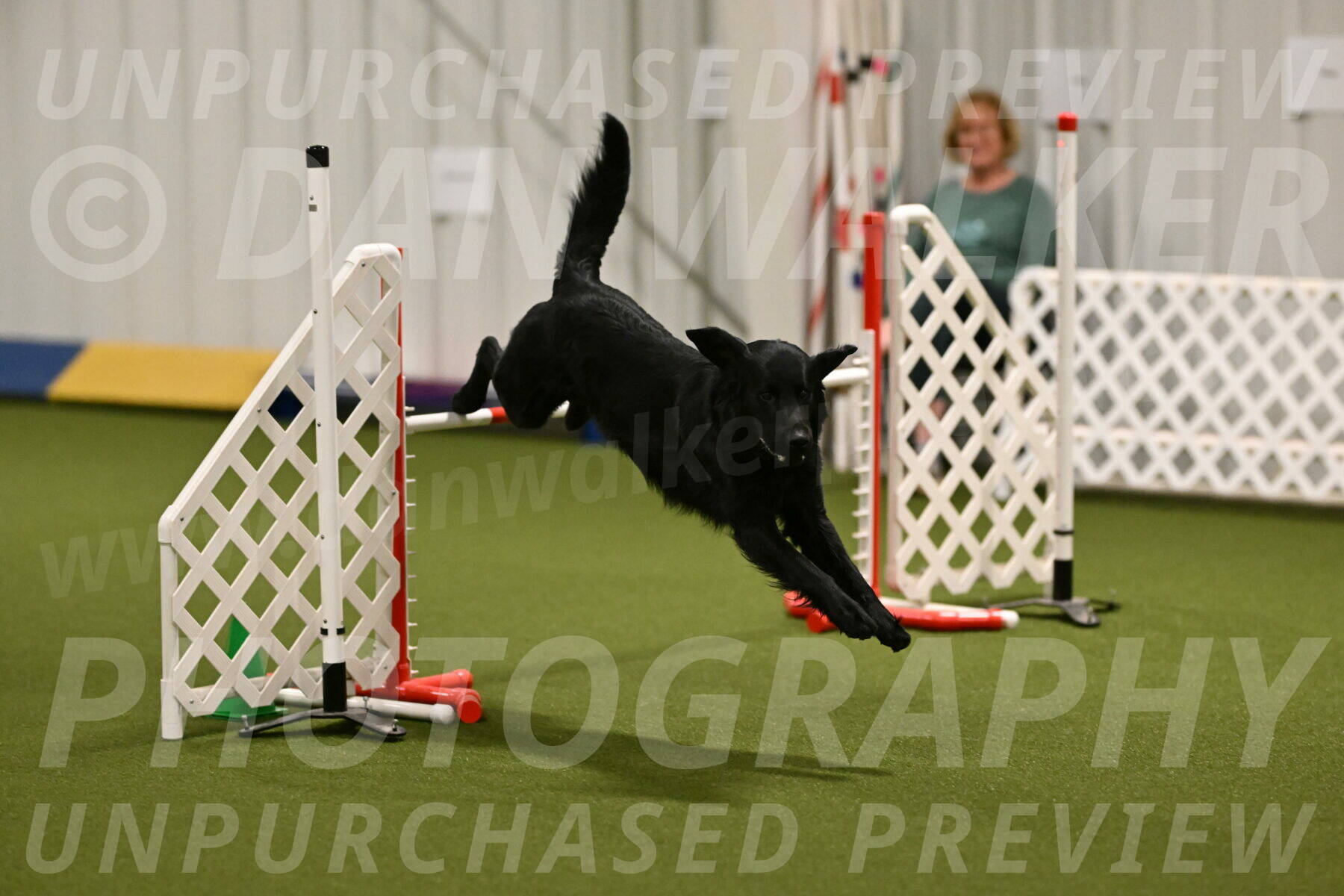 Chill-Anne-Lowe-05313
