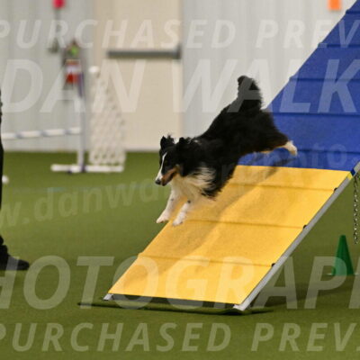 Cleo-Barb-Schmauder-00623