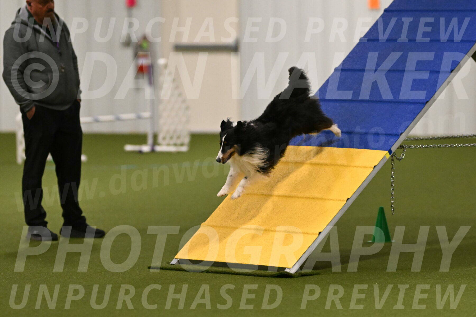 Cleo-Barb-Schmauder-00623