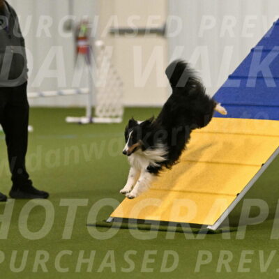 Cleo-Barb-Schmauder-00624