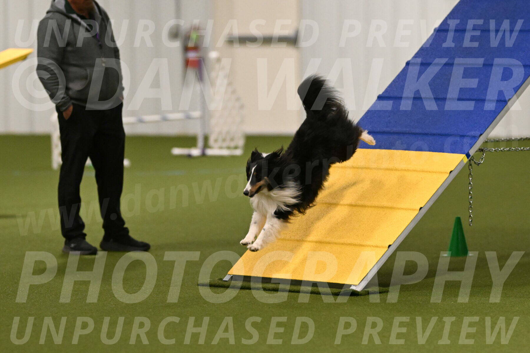 Cleo-Barb-Schmauder-00624