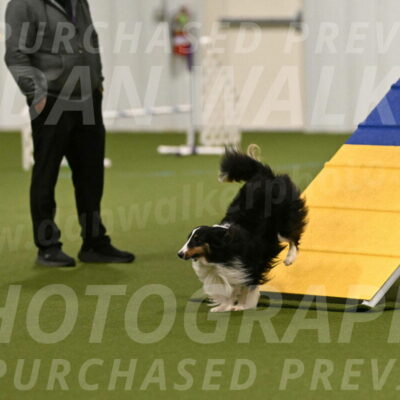 Cleo-Barb-Schmauder-00625