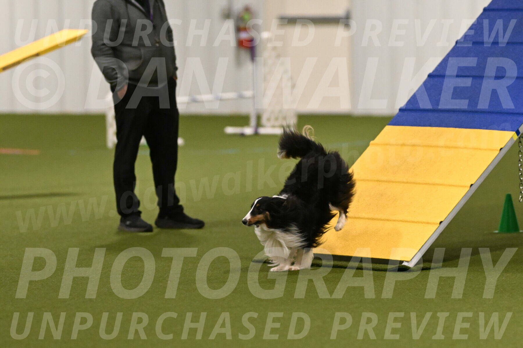 Cleo-Barb-Schmauder-00625