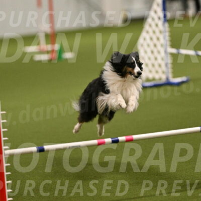 Cleo-Barb-Schmauder-00626