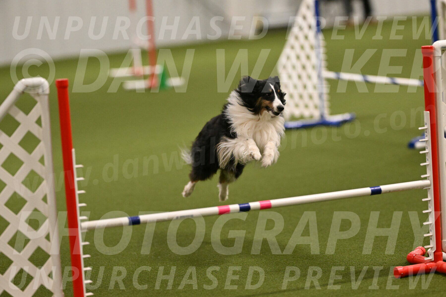 Cleo-Barb-Schmauder-00626